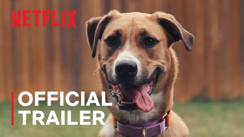 Inside the Mind of a Dog (2024) - Movie, Reviews, Ott, Cast And Trailer