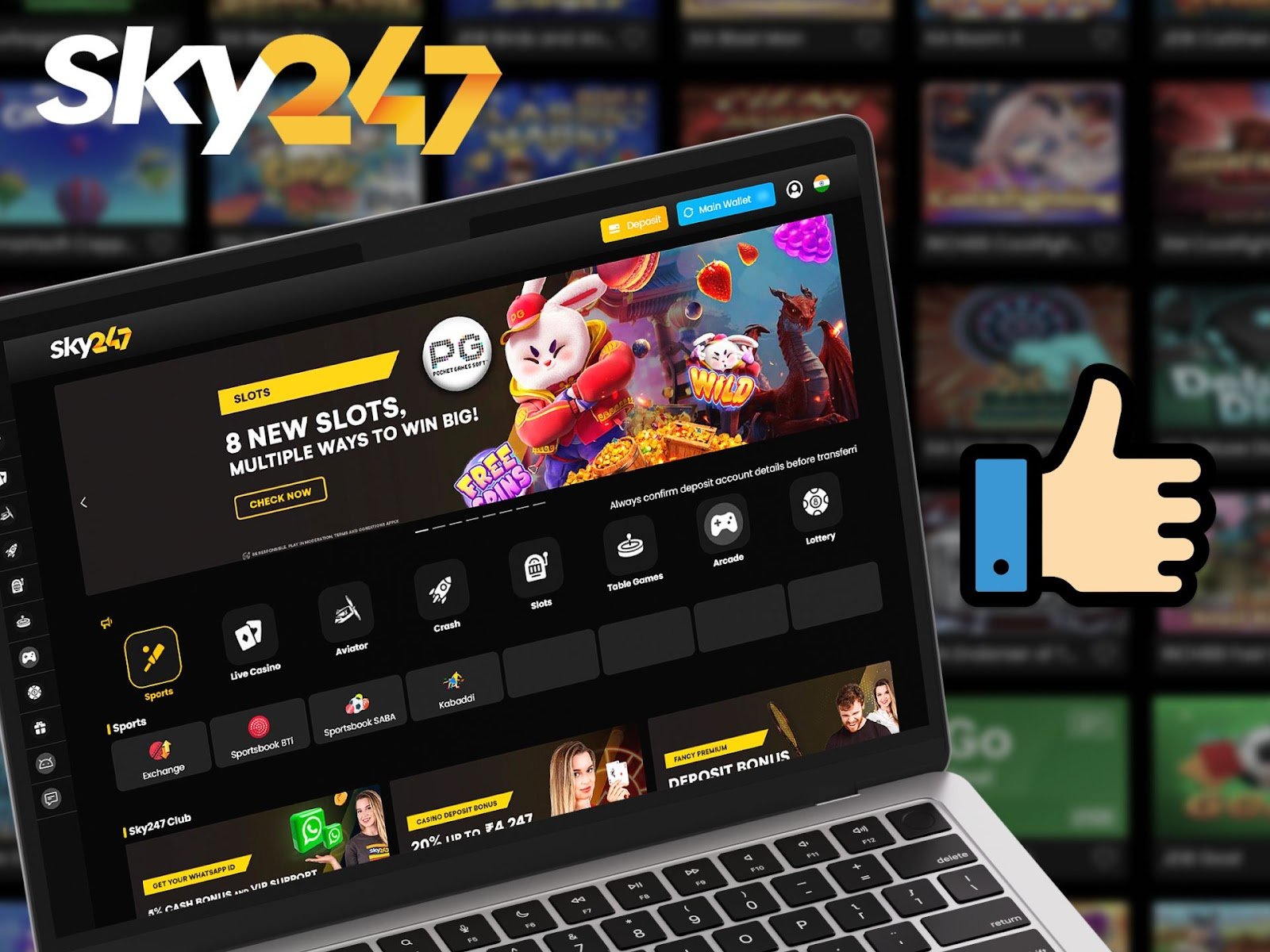 Sky247 Official Website Review: Pros and Cons